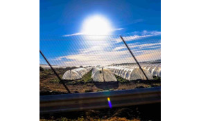 Energiewirtschaft und Landwirtschaft effektiv miteinander verbinden Energiewirtschaft und Landwirtschaft effektiv miteinander verbinden